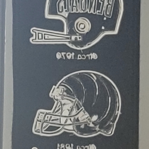 CINCINNATI BENGALS Winning Streak LLC NFL Team Heritage Banner - Picture 2 of 2